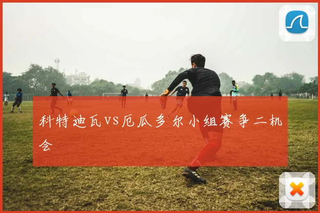 科特迪瓦vs厄瓜多尔小组赛争二机会