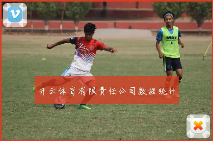 开云体育有限责任公司数据统计