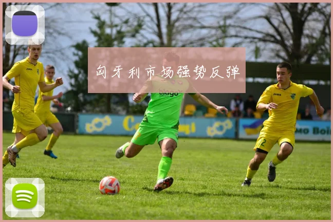 匈牙利市场强势反弹