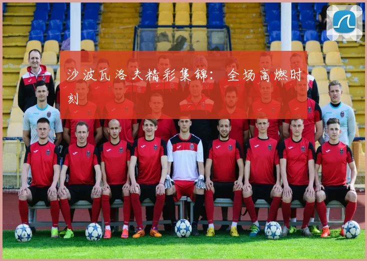 沙波瓦洛夫精彩集锦:全场高燃时刻
