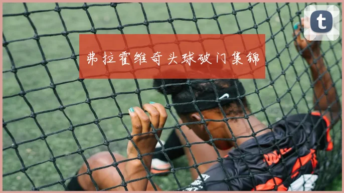 弗拉霍维奇头球破门集锦