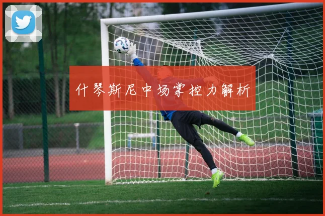什琴斯尼中场掌控力解析