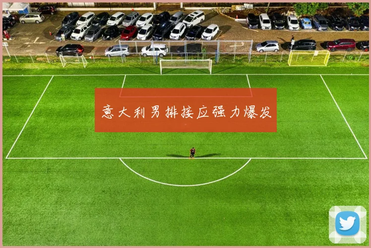 意大利男排接应强力爆发