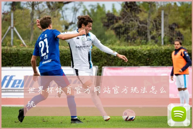 世界杯体育官方网站官方玩法怎么玩