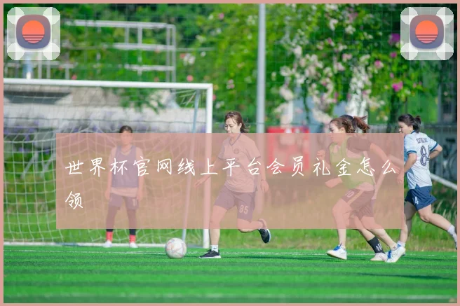 世界杯官网线上平台会员礼金怎么领