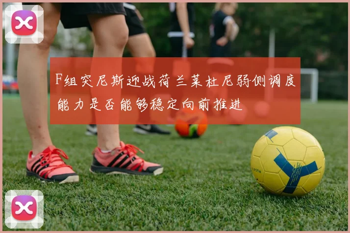 F组突尼斯迎战荷兰莱杜尼弱侧调度能力是否能够稳定向前推进
