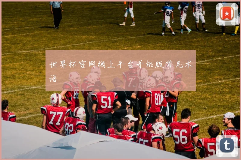 世界杯官网线上平台手机版常见术语